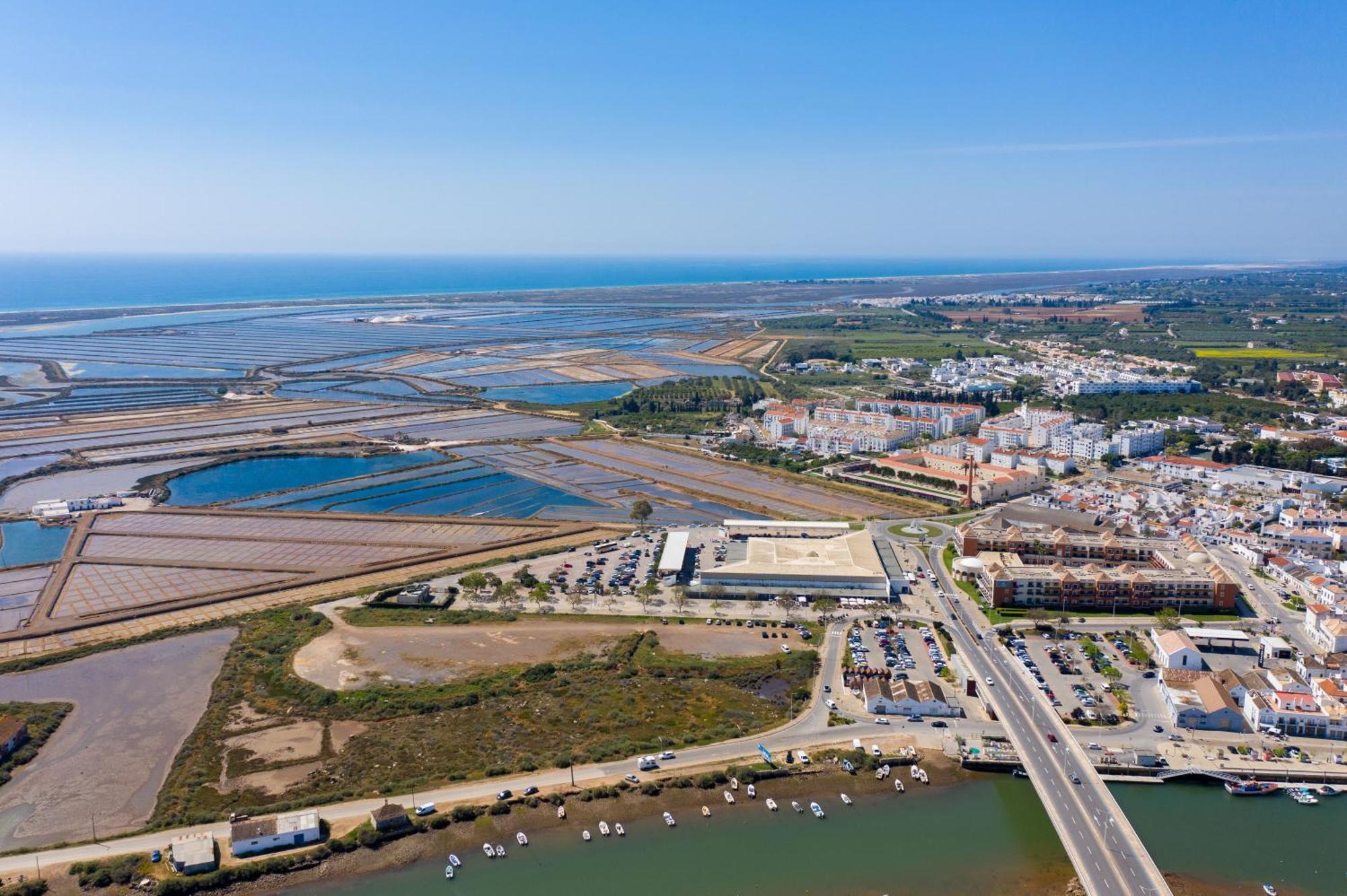 Balsa Tavira