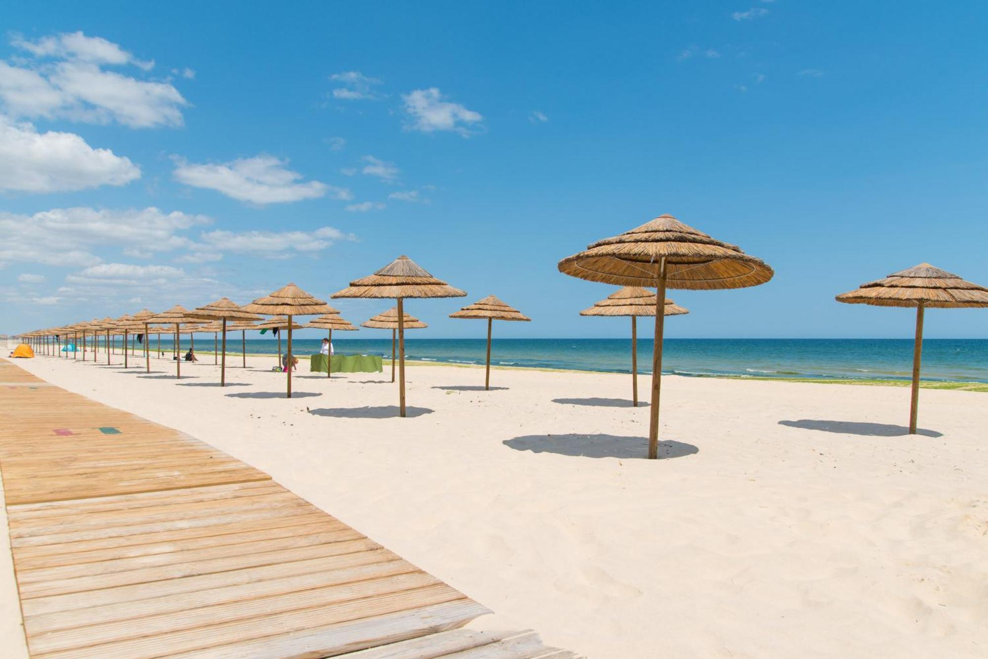 Balsa Tavira